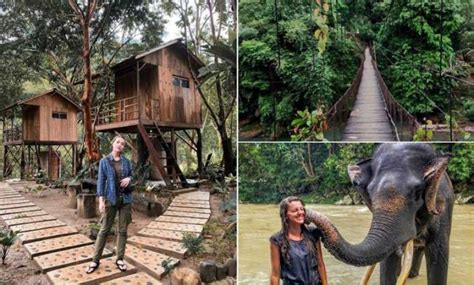 Pihak pengelola pun mendirikan sejumlah spot untuk berfoto dengan lansekap tersebut sebagai background, misalnya. Wisata Tangkahan Langkat | Untuk Para Petualang Sejati ...