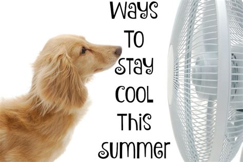 Five Ways To Stay Cool This Summer Sippy Cup Mom