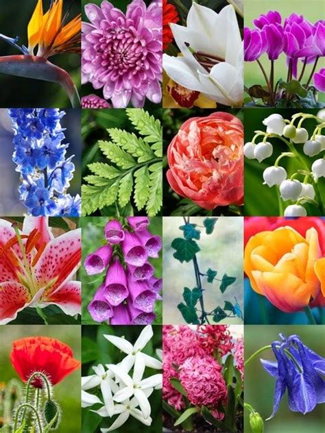 Autumn crocus is poisonous to dogs, cats and horses, according to the aspca animal poison control center. Bouquet Flowers that are Toxic for Cats - Garden Living ...