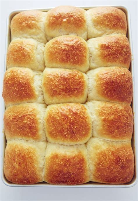 vanishing yeast rolls taste of artisan in 2023 yeast rolls recipe yeast rolls best yeast rolls