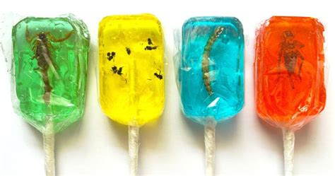 Insect Lollipops Awesome Stuff 365