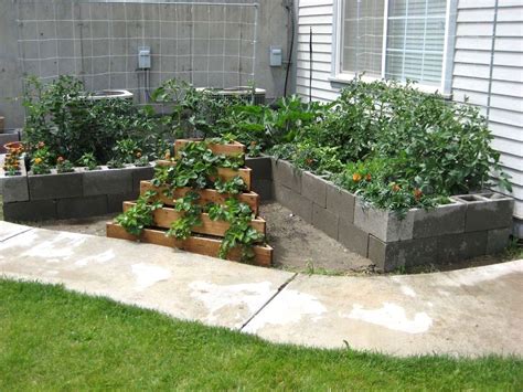 The holes of a cinder block aren't just great for plant placement. Raised Vegetable Garden Using Cinder Blocks | Cinder block ...