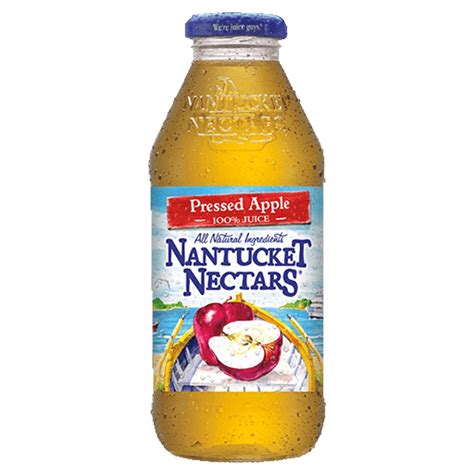Chipotle Nantucket Nectars Apple Juice Nutrition Facts