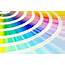 Standout Color Schemes That Work Well On The Web  Brandignity