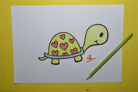 How To Draw A Tortoise At How To Draw