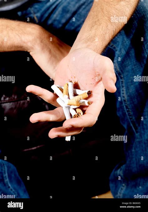 Young Man Breaking Cigarettes Model Released Stock Photo Alamy