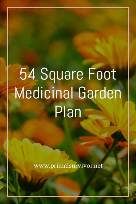 54 Square Foot Medicinal Garden Plan In 2021 Medicinal Garden Garden