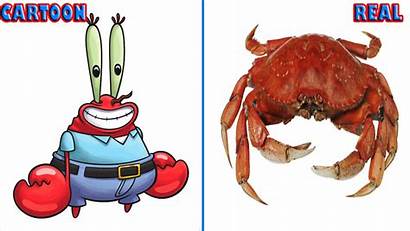 Spongebob Characters Squarepants Salty Jig Squid