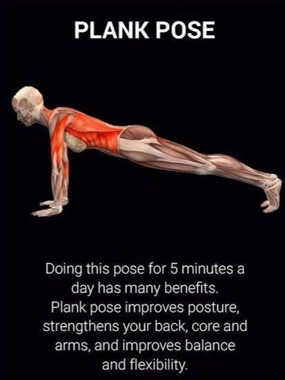 MasculinityPath On Twitter RT Fitnesshandle The Benefits Of Plank