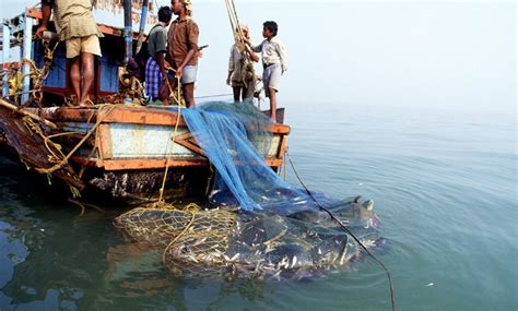 Declining Indian Fisheries Perceptions Of Fisher Folk From Maharashtra