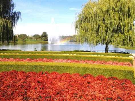 Chicago botanical garden located 30 miles from downtown chicago, the chicago botanic garden features 27 gardens and four natural areas situated on 385 acres on and around nine islands. Chicago Botanic Garden (Glencoe) - All You Need to Know ...