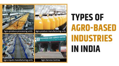 Top 6 Agro Based Industries In India Types Importance And Scenario 2022