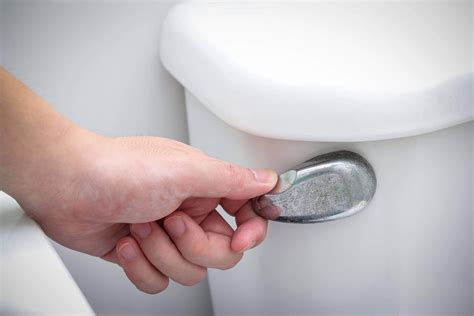 No toilet handle or water not running to the toilet? How to Flush Your Toilet When the Water Is Shut Off
