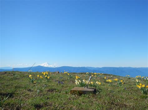 Grassy Knoll — Washington Trails Association