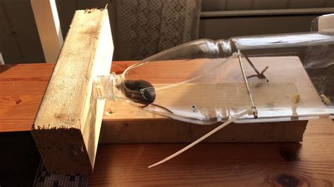 Homemade Electric Mouse Traps That Work