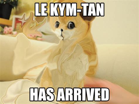 Le Kym Tan Has Arrived Kym Tan Know Your Meme