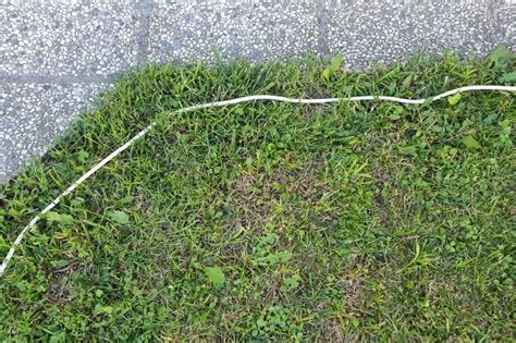 8 Tips On How To Hide Extension Cords Outside Homelyville