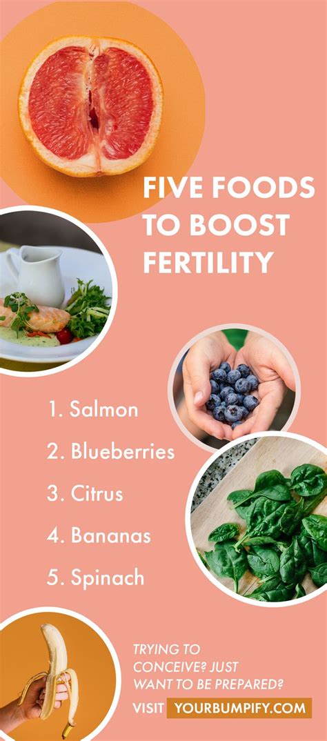 foods to boost fertility in 2021 foods to boost fertility healthy drinks recipes healthy