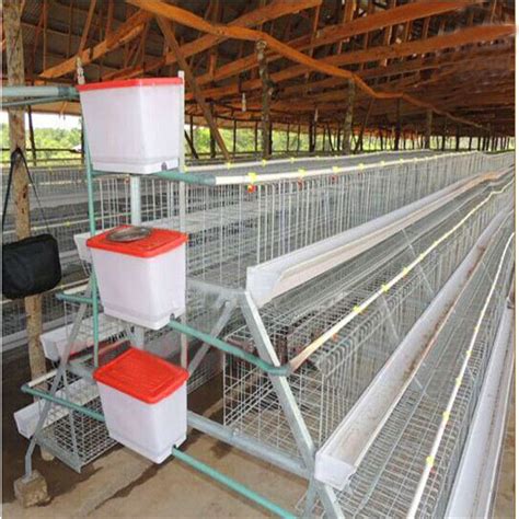 Usd 80 270 Info Chicken Cage Chicken Layer Cage Poultry Chicken Cage Layer