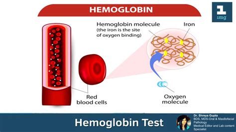 Importance Of Hemoglobin Test All You Need To Know Tata 1mg Capsules