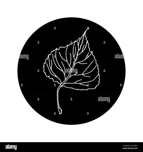 Aspen Leaf Editable Icon In Black Rounded Shape Sketch Hand Drawn