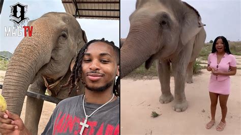 ddg and gf halle bailey feed the elephants in thailand 🐘 youtube