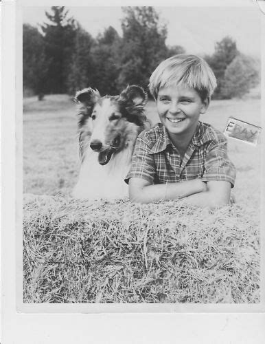 Tommy Rettig Lassie Vintage Photo Ebay