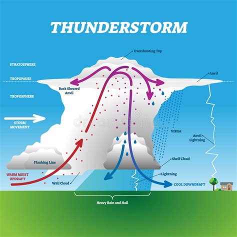 Parts Of A Thunderstorm