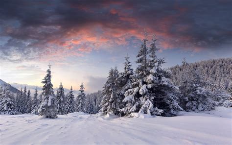 Snow Sunrise Clouds Winter Trees Forest Wallpaper