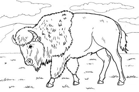 Fun, printable, free coloring pages can help children develop important skills. Bison coloring pages to download and print for free
