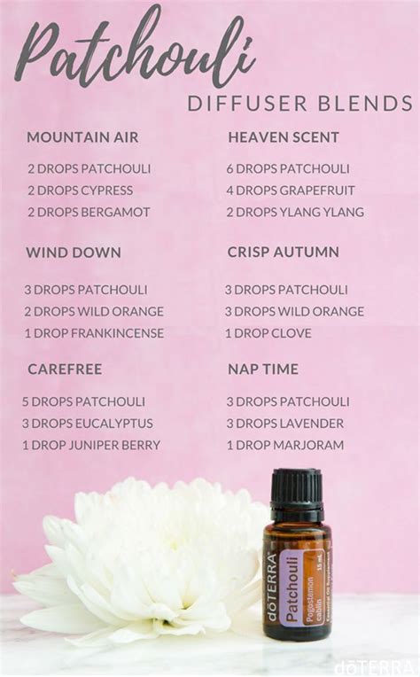 .tools candle mold candle packaging candle wax candle wicks clamshell containers colorant cosmetic base crafting kit essential oil fragrance oil gift card gifts middle notes: Patchouli diffuser blends | Essential oil perfume ...