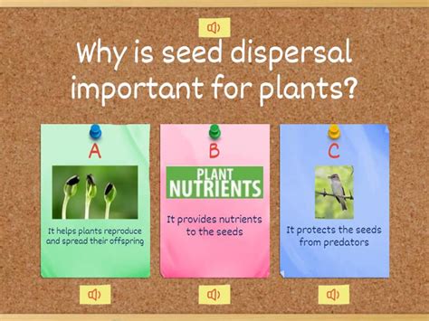 Seed Dispersal Understanding Its Definition Importance And Agents Quiz