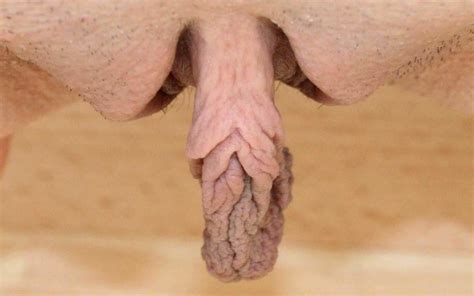 Incredible Sex Pussy Close Up Clitoris Fuck With Free