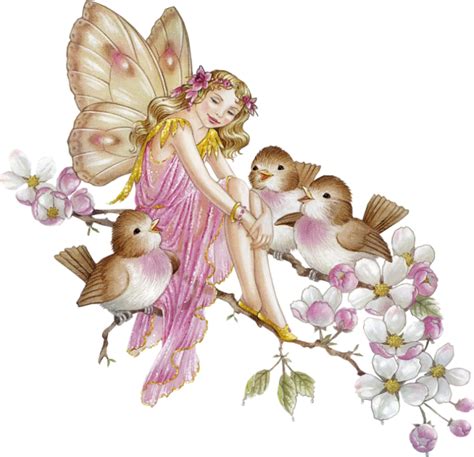 Fairy Png Transparent Images Fairy Clipart Hd Pictures Free