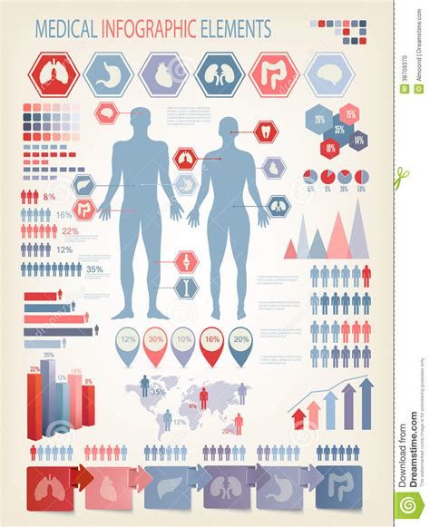 Medical Infographics Elements Stock Vector Illustration Of Body