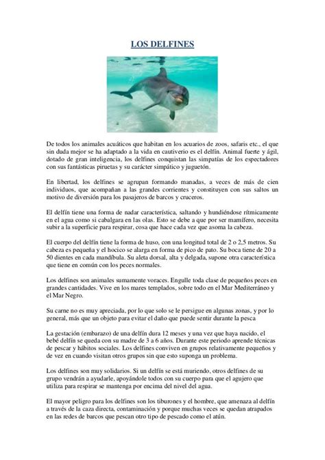 Los Delfines Texto Expositivo Ejemplo De Animales Images