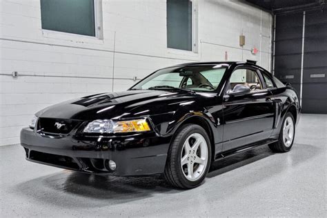 For Sale 1999 Ford Mustang Svt Cobra Coupe Black 46l Dohc V8 5