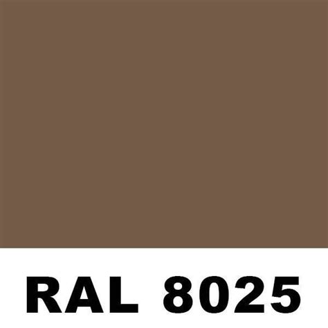 Ral 8025 Pale Brown