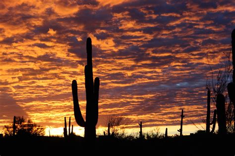 Sunset - Arizona | Sunset, Sunset photos, Sunrise