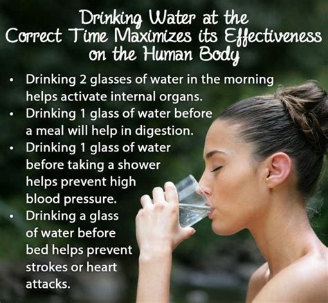 The Importance Of Drinking Water At The Right Times Body Health