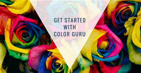 Get Started With Color Guru And Save Yourself Time And Money