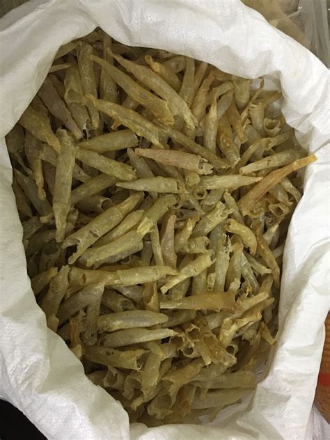 I like to eat it throughout the year, and not just during this festive season. Dried Pangash Fish Maw (Close) Manufacturer, Supplier ...