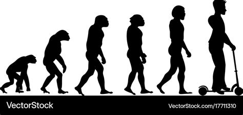 Monkey Human Evolution Chart