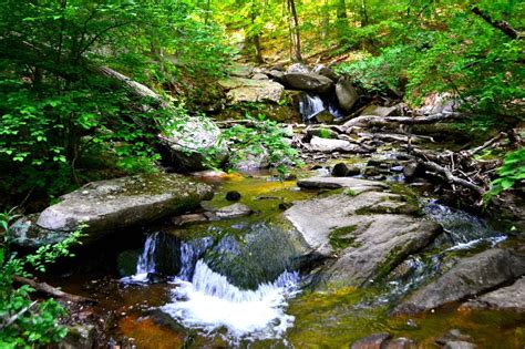 The 6 Best State Parks In New Jersey State Parks Park New Jersey