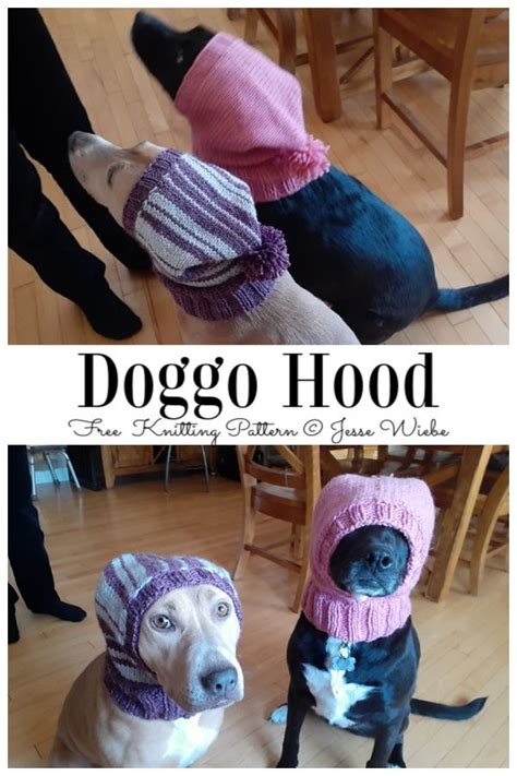Dog Beanie Pattern Knitting Patterns For Dogs Crochet Dog Sweater