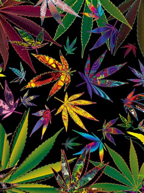 Free Download Trippy Stoner Types Trippy Multi Pot Leaves For Your Weed