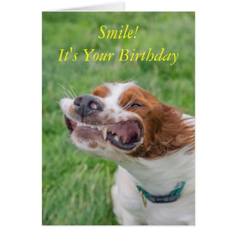 Smile Its Your Birthday Card Zazzle