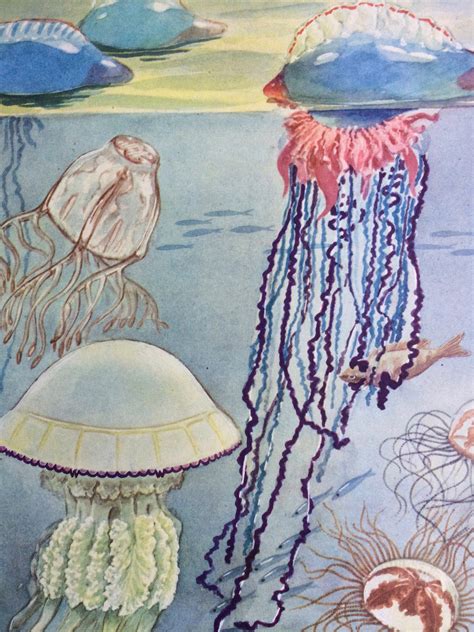 1968 Colourful Vintage Jellyfish Print Tropical Fish Available