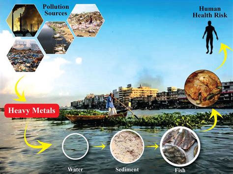 Environmental Pollution With Heavy Metals A Public Health Concern
