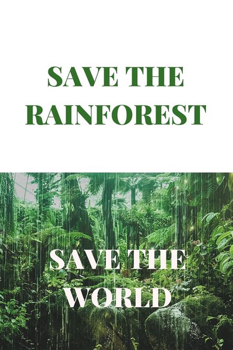 Save The Rainforests To Save Our Planet